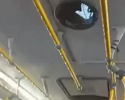 Com goteiras, ônibus quase vira chafariz durante chuva