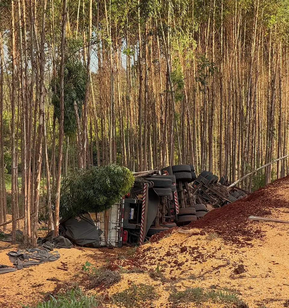 Vídeo: Carreta carregada com milho tomba e motorista morre na MS-388