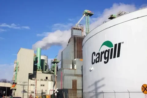 Empresa do setor alimentício abre inscrições para trainee 2027 com vagas em Três Lagoas