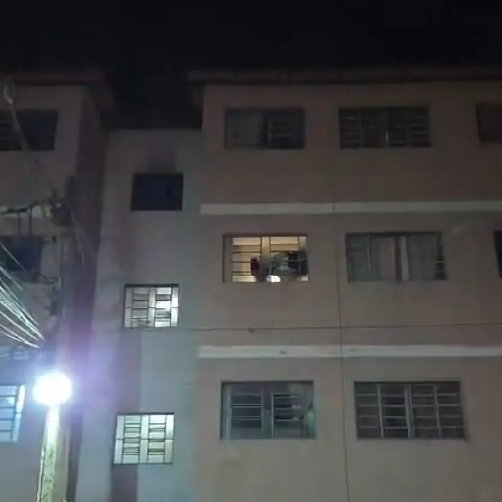 Fogo atinge apartamento e três animais são resgatados no Jardim Leblon