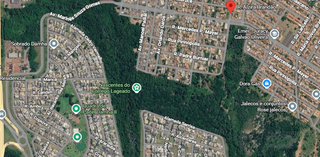 Recuperação na Lagoa Itatiaia terá troca de "invasoras" por espécies nativas Recuperação na Lagoa Itatiaia terá troca de "invasoras" por espécies nativas