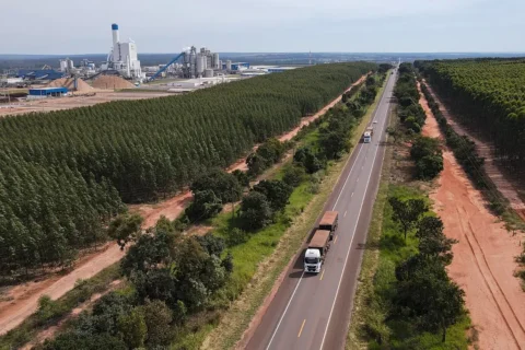 MS celebra 49 anos de história consolidado como potência no setor da celulose do Brasil